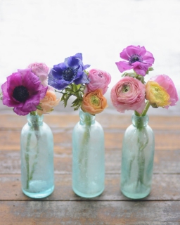 CB-2798_3bottles_springflowerstif