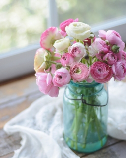 CB-2799b_masonjar_pinkranunculus