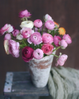 CB-2803_flowers_ceramic-pot-Edit