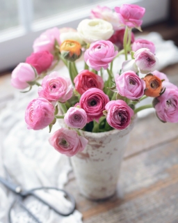 CB-2805_ranunculus_ceramic-pot2