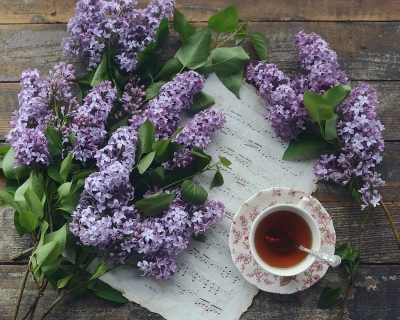 CB-2808_lilacs_tea_music
