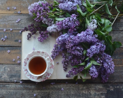 CB-2810_lilacs_tea_book