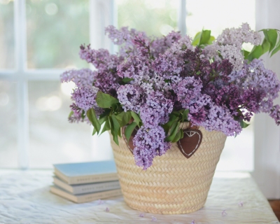 CB-2813_lilacs_basket_books