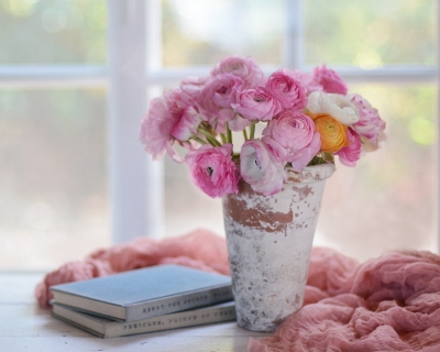 CB-2815_window_pinkflowers_books