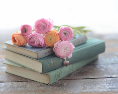 CB-2816_books_ranuncs