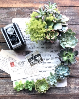 CB-2819_succulents_musicsheet_camera