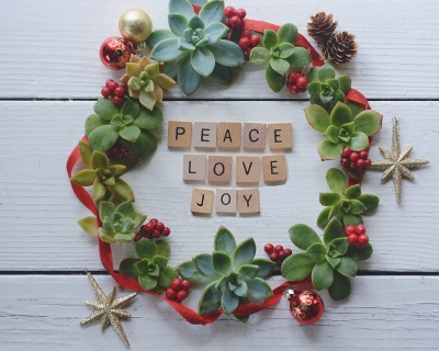 CB-2822_succulent_wreath2_horizontal