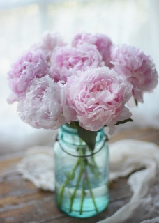 CB-2824_peonies