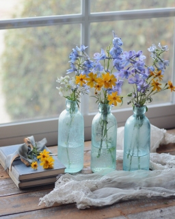 CB-2825b-3bottles_blueyellowflowers