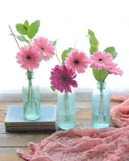 CB-2826-3bottles_daisies