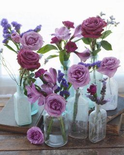 CB-2827-bottles_flowers-Edit