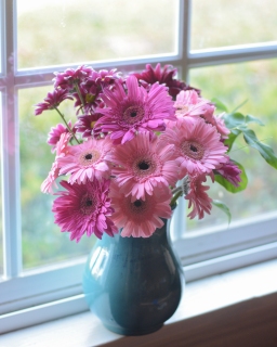 CB-2831-daisies_windowsill