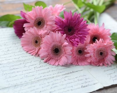 CB-2832-daisies