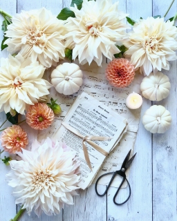 CB-2834-fall_dahlias_musicsheets