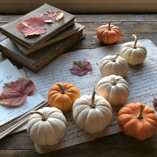 CB-2837-fall_pumpkins_books_leaves
