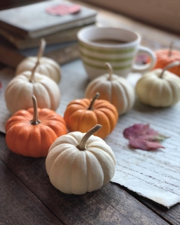 CB-2839-fall_pumpkins_coffee_books