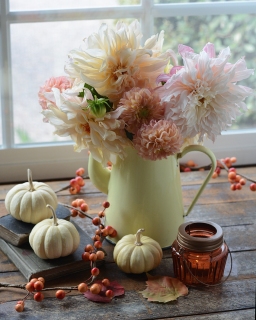 CB-2841-fall_yellowpot_flowers2