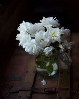 CB-2850-whiteroses CB-2850-whiteroses
