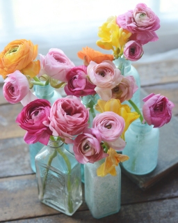 CB-2852-bottlesandflowers