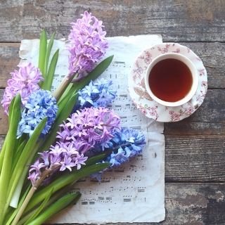 CB-2857-hyacinth_music_tea