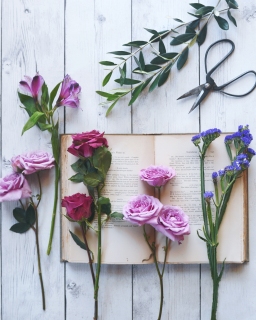 CB-2861-olivebranch_flowers-Edit-Edit