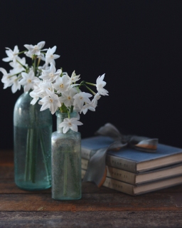 CB-2867-whiteflowers_darkbackground1