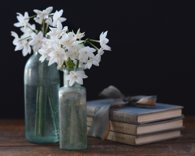 CB-2868-whiteflowers_darkbackground2