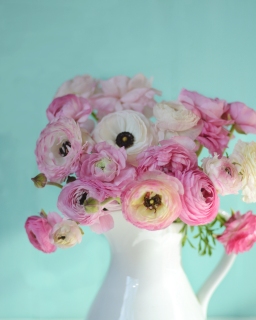 CB-2869-whitejug_pinkflowers