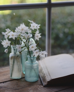 CB-2879-white-flowers-book