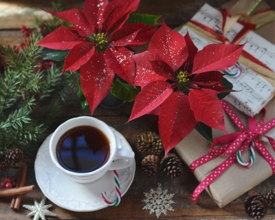 CB-2884-christmas_pointsettias_coffee