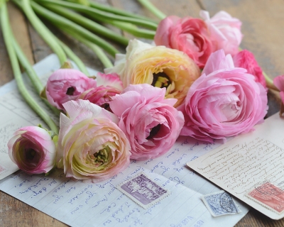 CB-2888-flowers_letters_stamps2