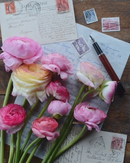 CB-2889-flowers_letters_stamps