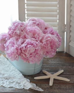 CB-2897-peonies_starfish