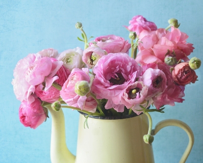 CB-2898-pinkflowers_yellowpot