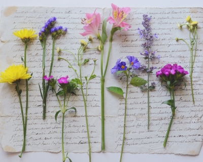 CB-2900-flowers_parchment