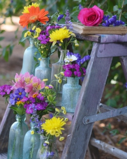 CB-2901a-flowers_ladder4