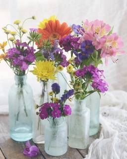 CB-2902-bottles-of-flowers
