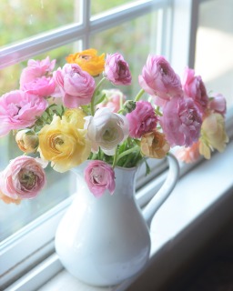 CB-2904b-windowsill-flowers
