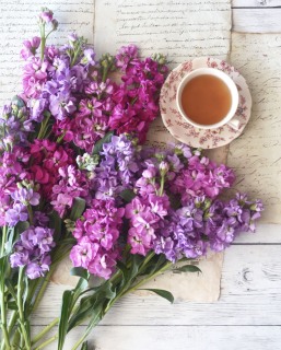 CB-2906-flowers_tea
