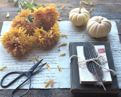 CB-2911-pumpkins_yellowflowers