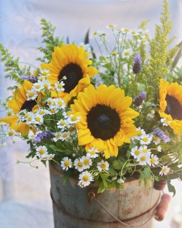 CB-2915a-sunflowers1