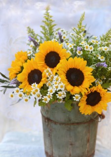 CB-2915b-sunflowers2