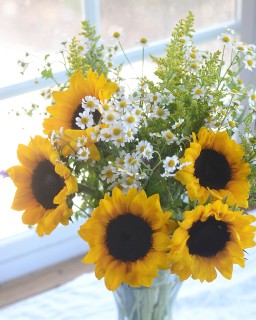 CB-2916-sunflowers_window