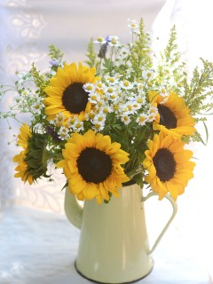 CB-2917a-sunflowers_yellowpot1