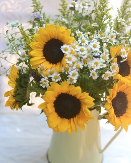 CB-2917b-sunflowers_yellowpot2
