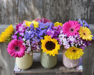 CB-2925_3-colorful-jars-wood