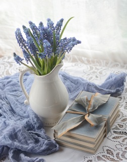 CB-2937-blueflowers1