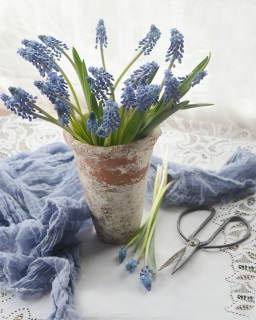 CB-2937c-blueflowers3