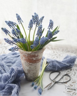 CB-2937d-blueflowers4