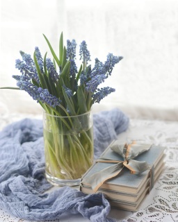 CB-2937e-blueflowers5